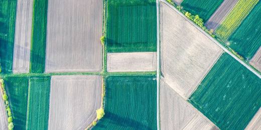An empty land plot